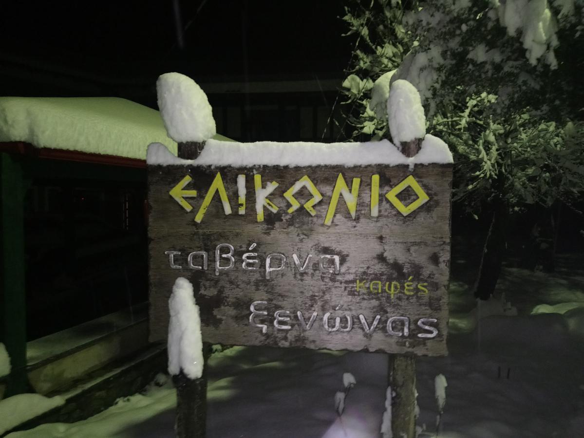 מלון אגיה אנה Elikonio מראה חיצוני תמונה